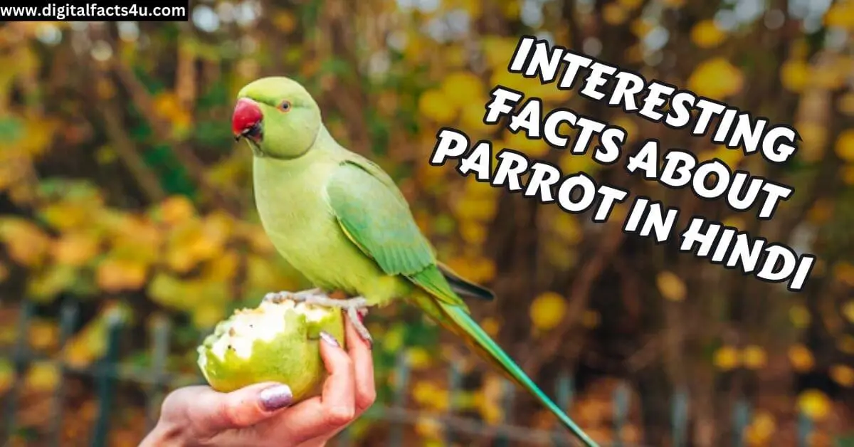 Facts about parrot in Hindi