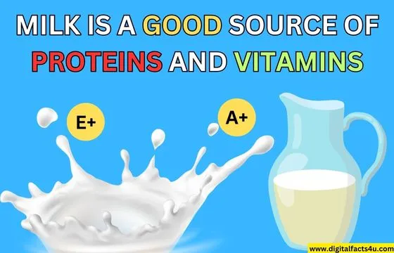 Fun Facts about milk