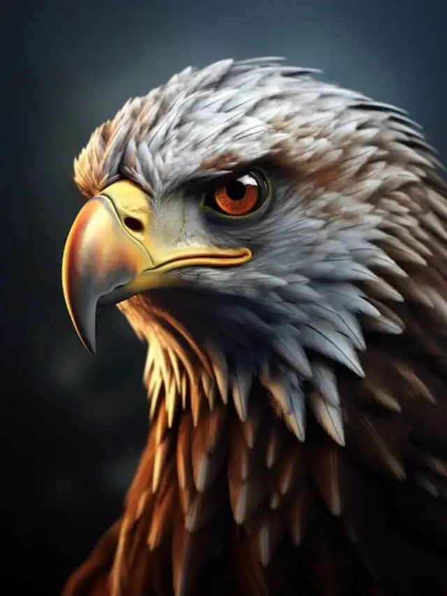 7 Amazing Facts about Eagles You Probably Never Knew About